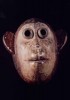 Masque facial de singe