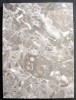 Echantillon de marbre gris de Hautmont