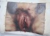 Modèle anatomique humain d'un sexe