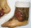 Modèle anatomique humain du pied