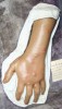 Modèle anatomique humain de l'avant-bras et de la main